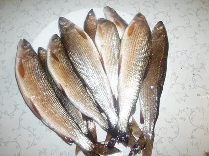 Хариус свежемороженый