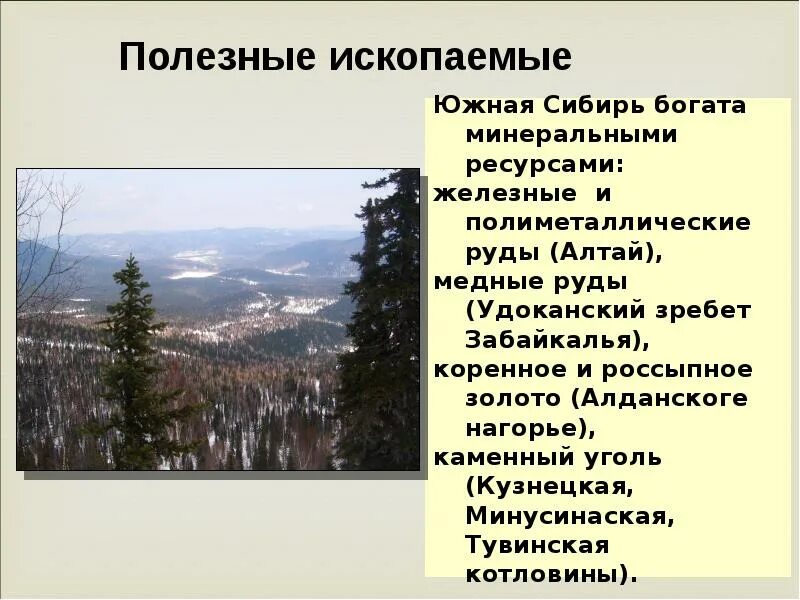 География урал и горы южной сибири. Растения гор Южной Сибири. Презентация на тему Южные горы Сибири. Природа и ресурсы гор Южной Сибири. Минеральные ресурсы Сибири.