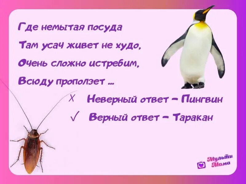 Загадка про весело. Загадки с подвохом про животных. Сложные загадки. Сложные загадки с подвохом. Необычные загадки.