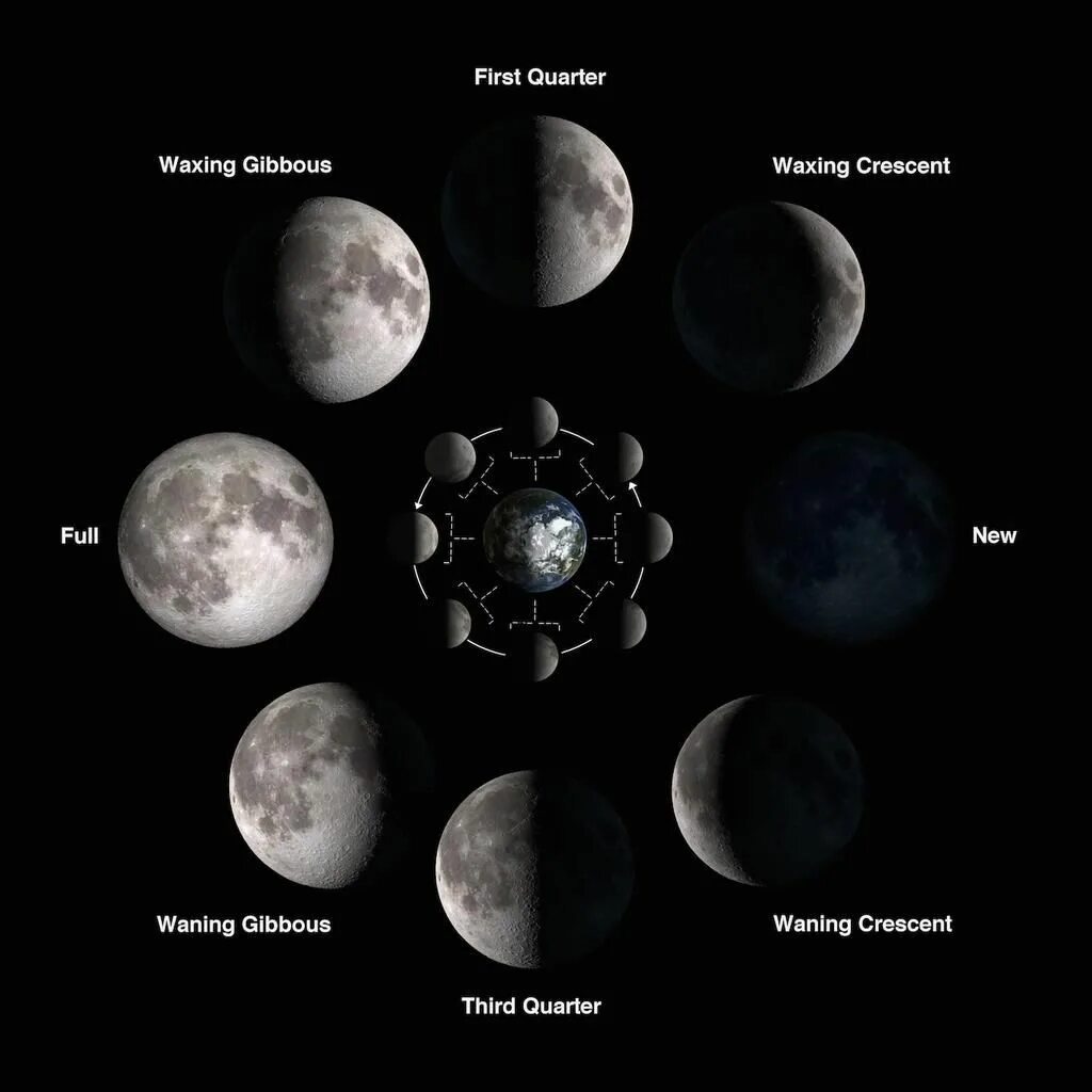 Новолуние и полнолуние. Фаза Луны первая четверть. Фазы Луны phases of the Moon. Новолуние первая четверть полнолуние и последняя четверть. Ф̆̈ӑ̈з̆̈ы̆̈ Л̆̈ў̈н̆̈ы̆̈.