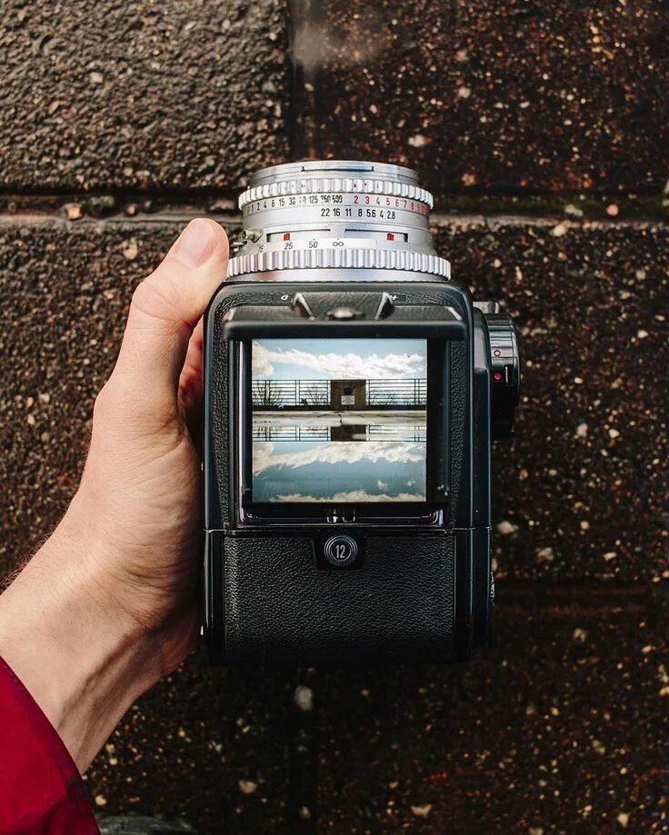 Фото на пленочный фотоаппарат. Yashica mf-2. Пленочный фотоаппарат с экраном наверху. Снимки на пленочный фотоаппарат. Ilford pan 400.