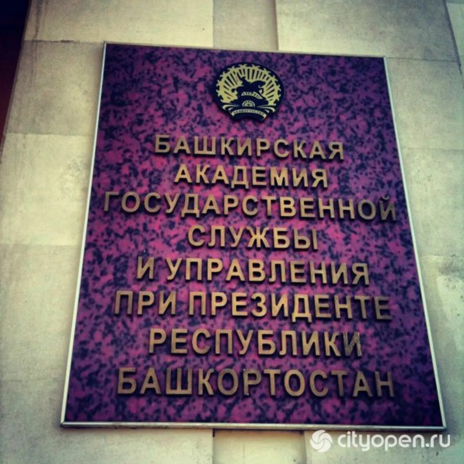 Академия государственной службы и управления. Башкирская академия государственной службы и управления. багсу. гму багсу. багсу логотип.