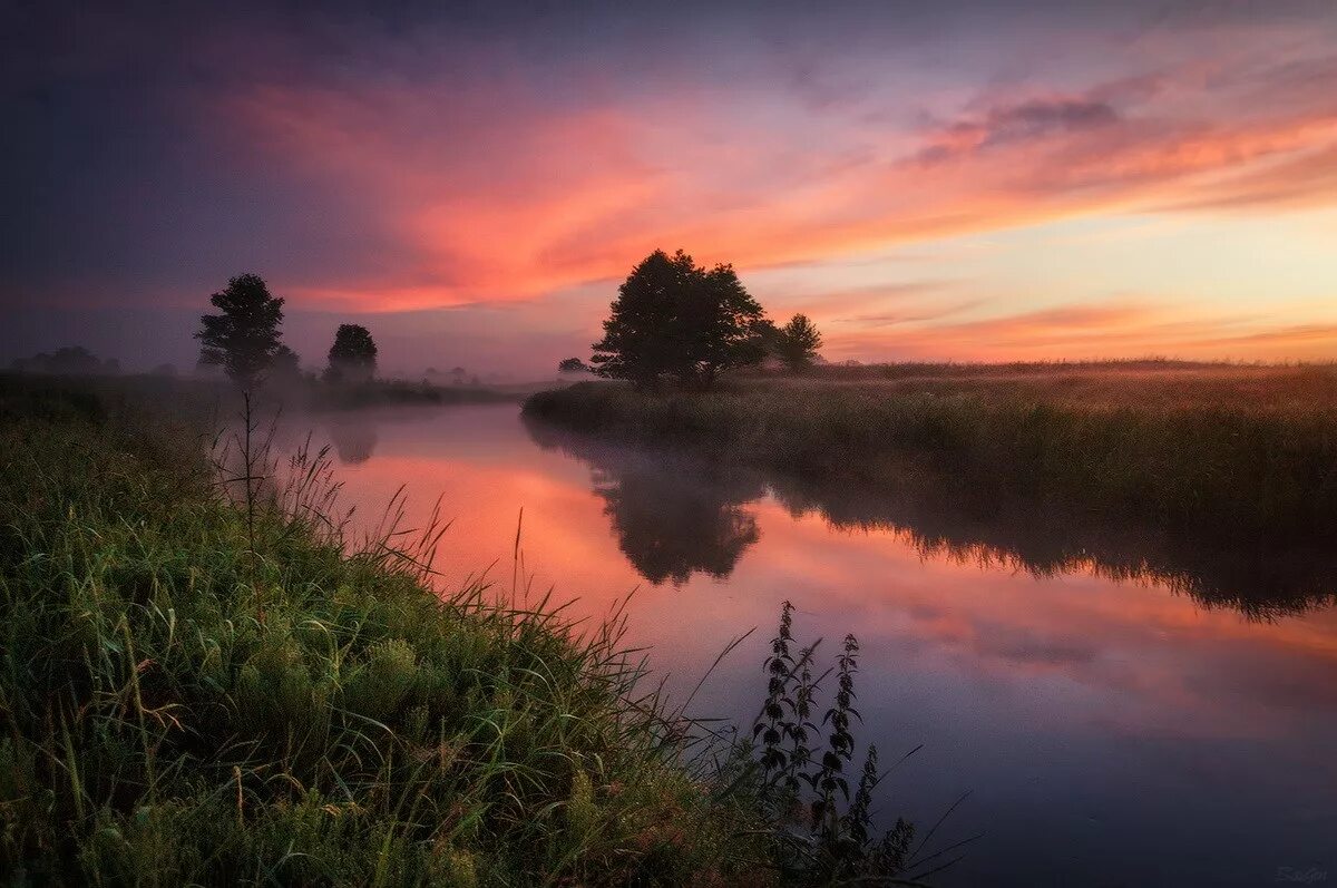 Ранний рассвет. Рано утром на заре. Раннее летнее утро. Рассвет. Раннее утро в поле.