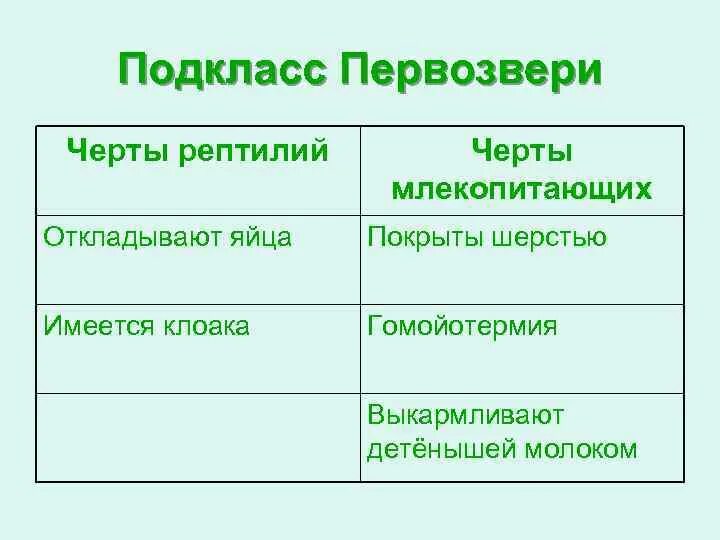 Сходства первозверей и пресмыкающихся. Черты млекопитающих. Черты рептилий. Первозвери сходство с пресмыкающимися.