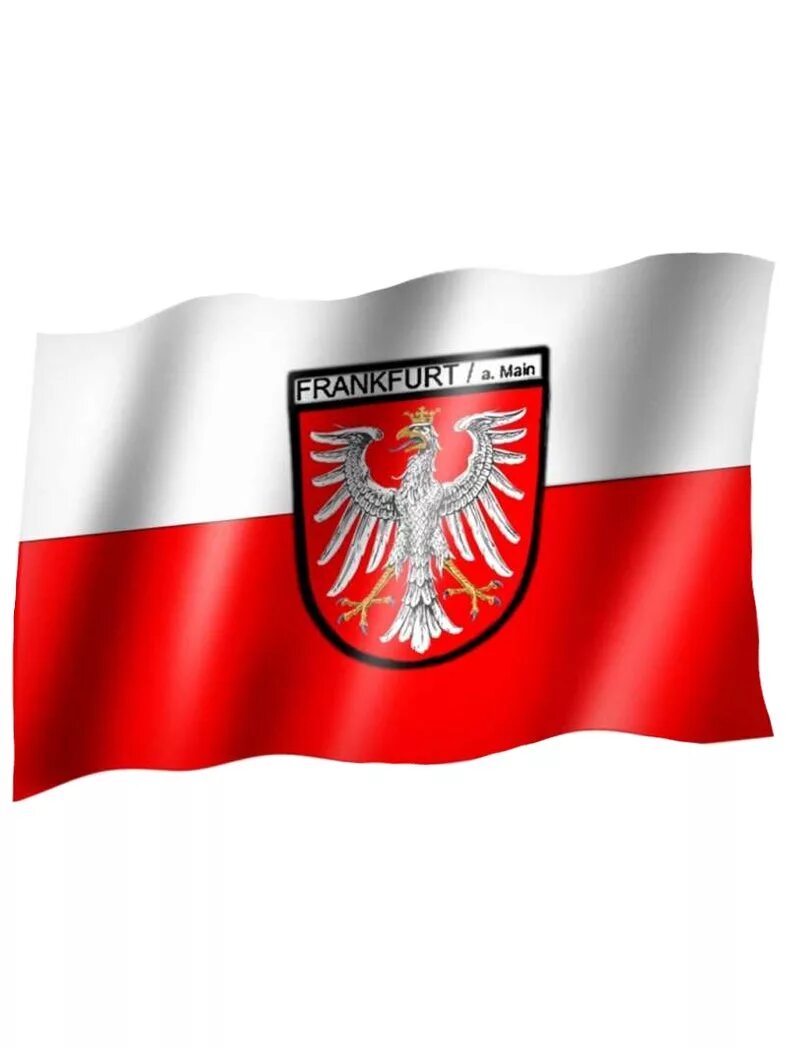 Flag main