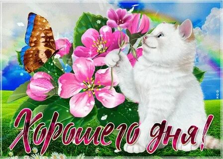 Добрые открытки ок