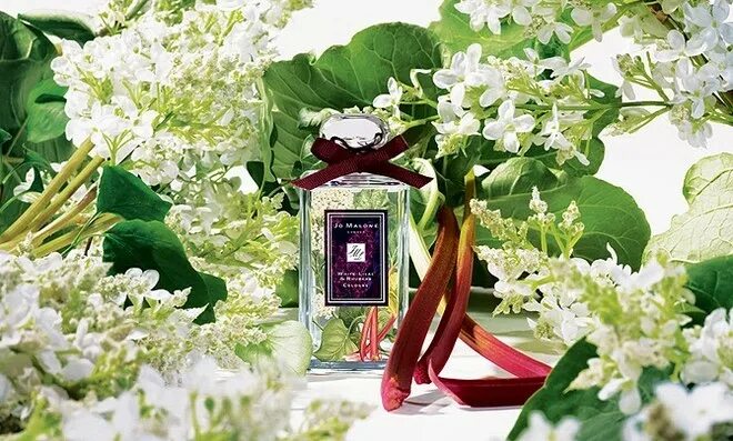 Благоухание ароматов. White Lilac & Rhubarb Jo Malone London. Джо Малон запах сирени. Джо Малон сирень. Джо Малон ревень духи.