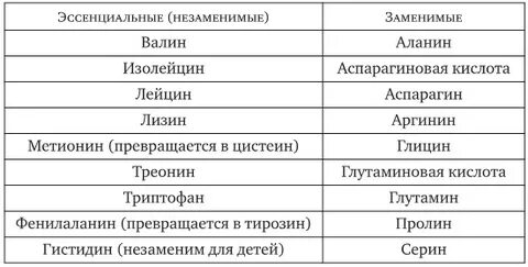 20 заменимых аминокислот