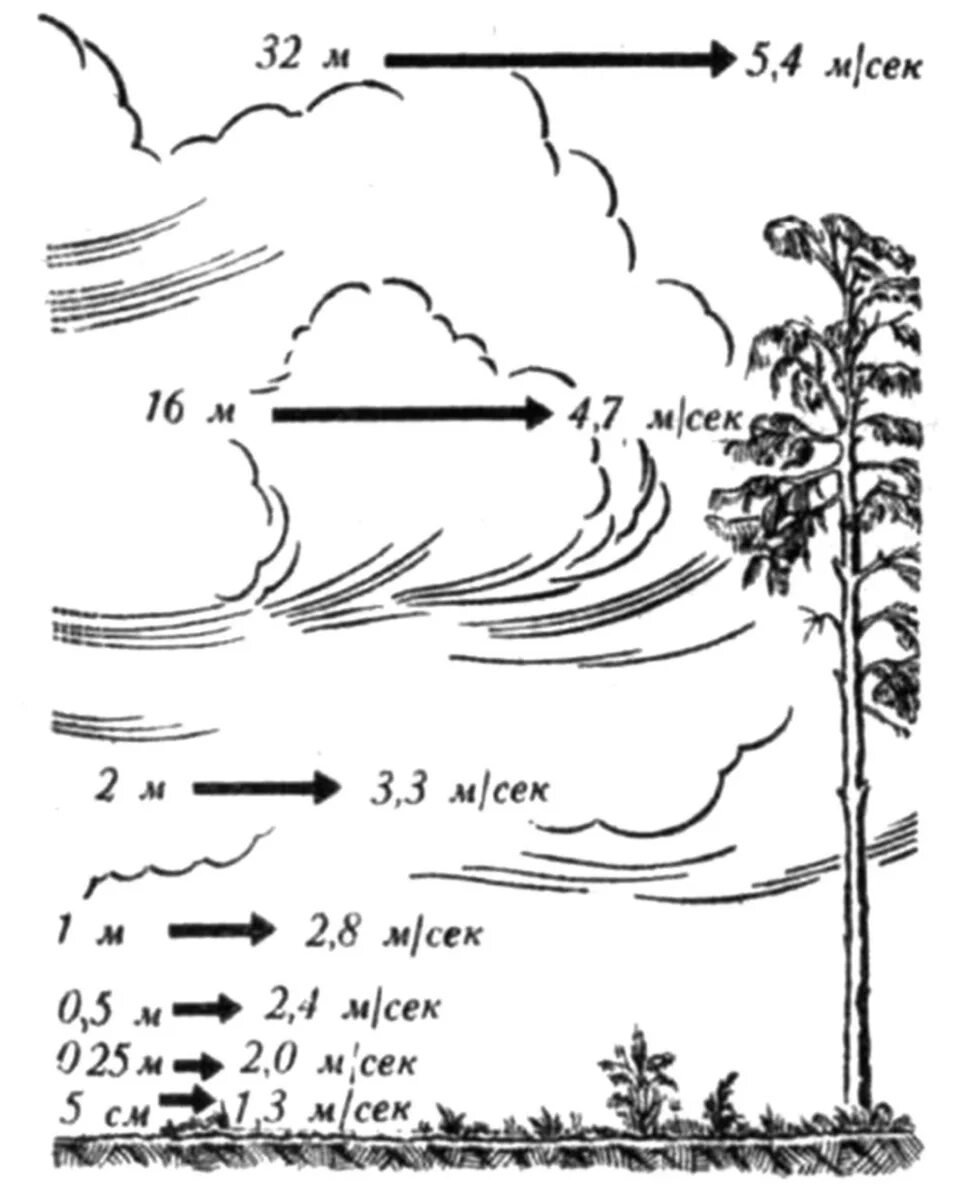 Изменение скорости ветра. Изменение ветра с высотой. Скорость ветра на высоте. Скорость ветра на разных высотах.