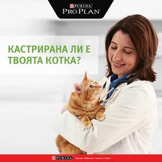 Ветеринар экзамены