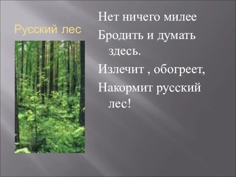 Леса россии тест 4 класс окружающий мир. Презентация на тему лес. Леса России презентация. Лес для презентации. Зона лесов России.