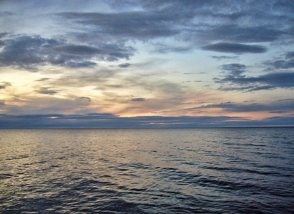 Бассейн океана лаптевых. Море лаптевых. море лаптевых фото летом. море лаптевых фото. море лаптевых лето цветы.