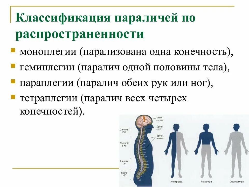 Классификация параличей. Классификация парезов и параличей. Паралич нервной системы. Код гемипареза