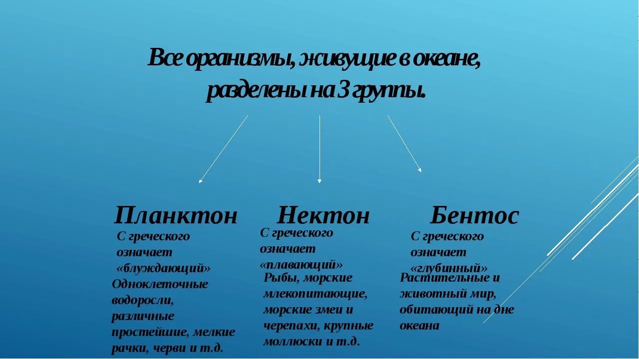 Группы водных организмов таблица. Бентос Планкитон Пентон. Планктон Нектон бентос. Планктон примеры организмов. Группы планктон Нектон бентос.