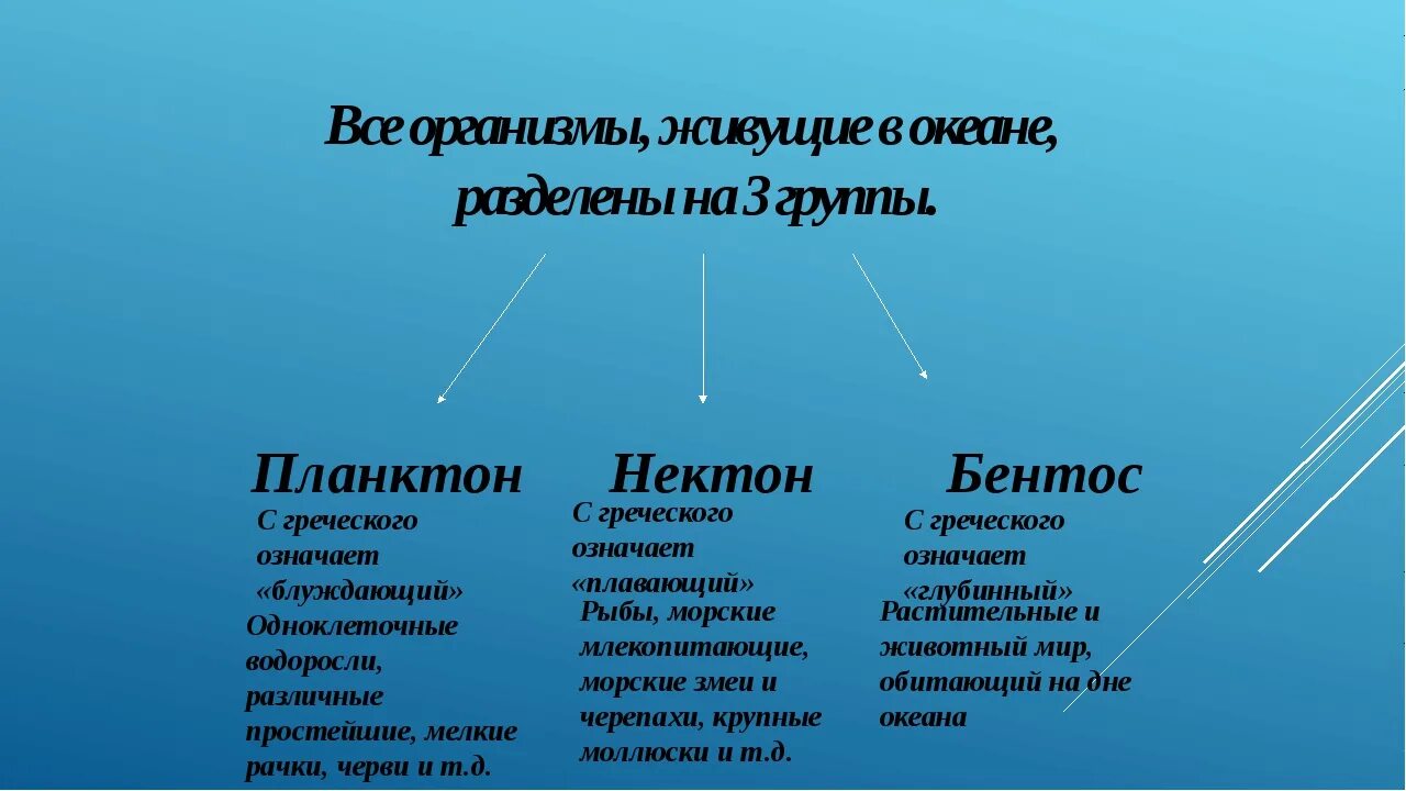 Группа часть океана. Бентос Планкитон Пентон. Планктон Нектон бентос. Планктон примеры организмов. Группы планктон Нектон бентос.