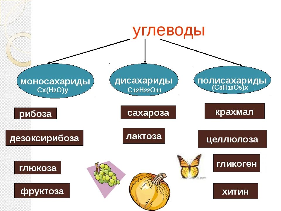 Углеводы таблица биология. Таблица углеводов моносахариды дисахариды полисахариды таблица. моносахариды дисахариды полисахариды. углеводы моносахариды дисахариды полисахариды. углеводы моносахариды полисахариды.