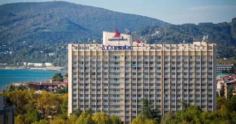 Корпус дельфин отзывы