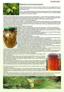 Шишки сосны настойка применение