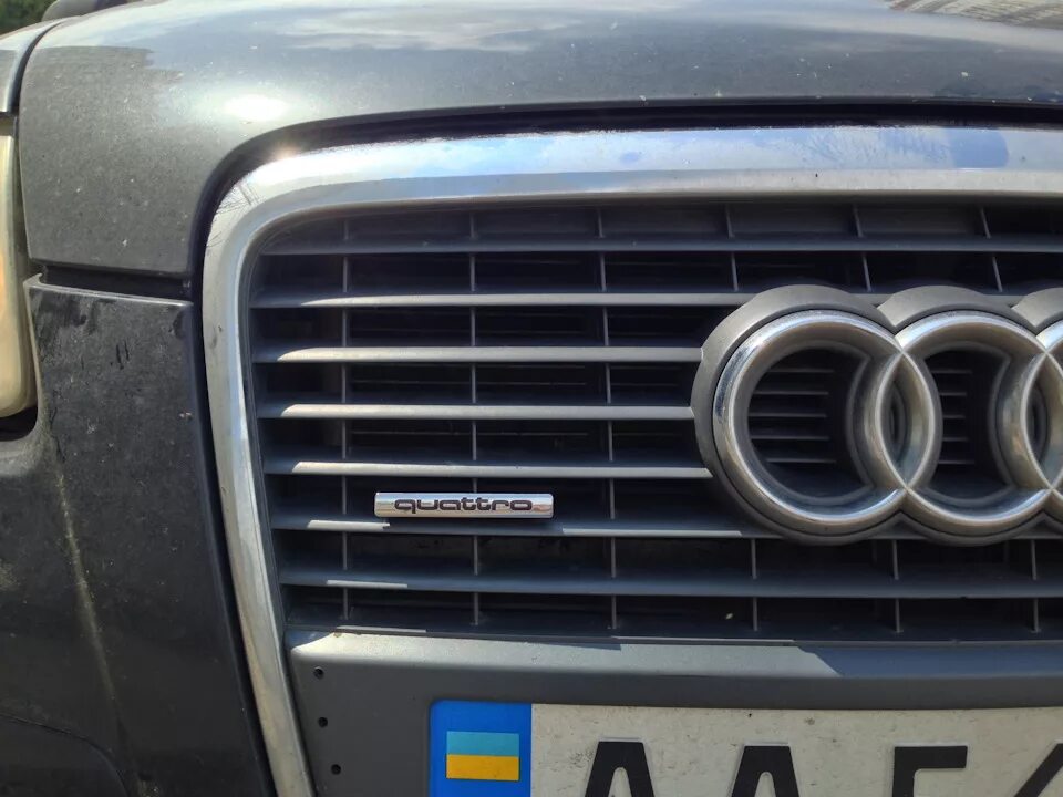 Шильдик на решетку. Шильдик амг на решетку w210. Шильдик rs на решетку радиатора toyota. Шильдик amg в решетку w220. Шильдик на решетку.