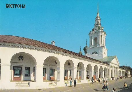 Кострома красное
