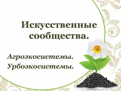 Натуральные и искусственные цвета