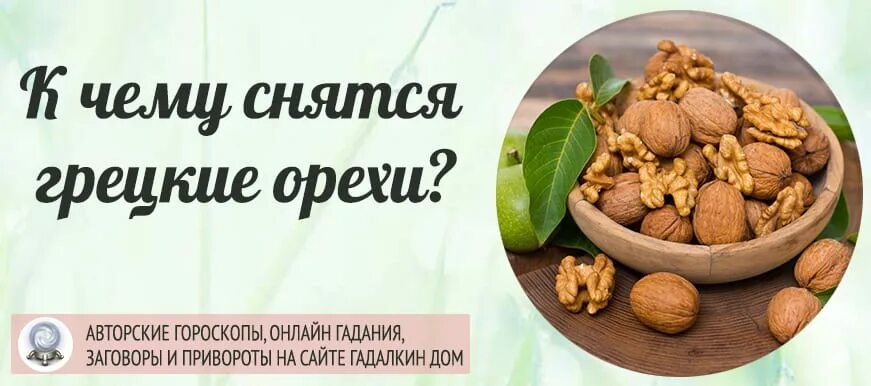 Грецкий орех во сне к чему снится