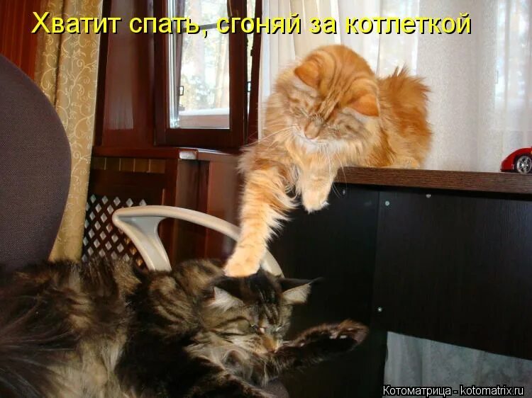 Хватит спать выходи на улицу. Я не жадный я экономный. не жадный а экономный. вовсе не жадный. хватит дрыхнуть.