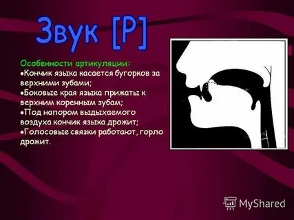 Как правильно произносить транскрипцию