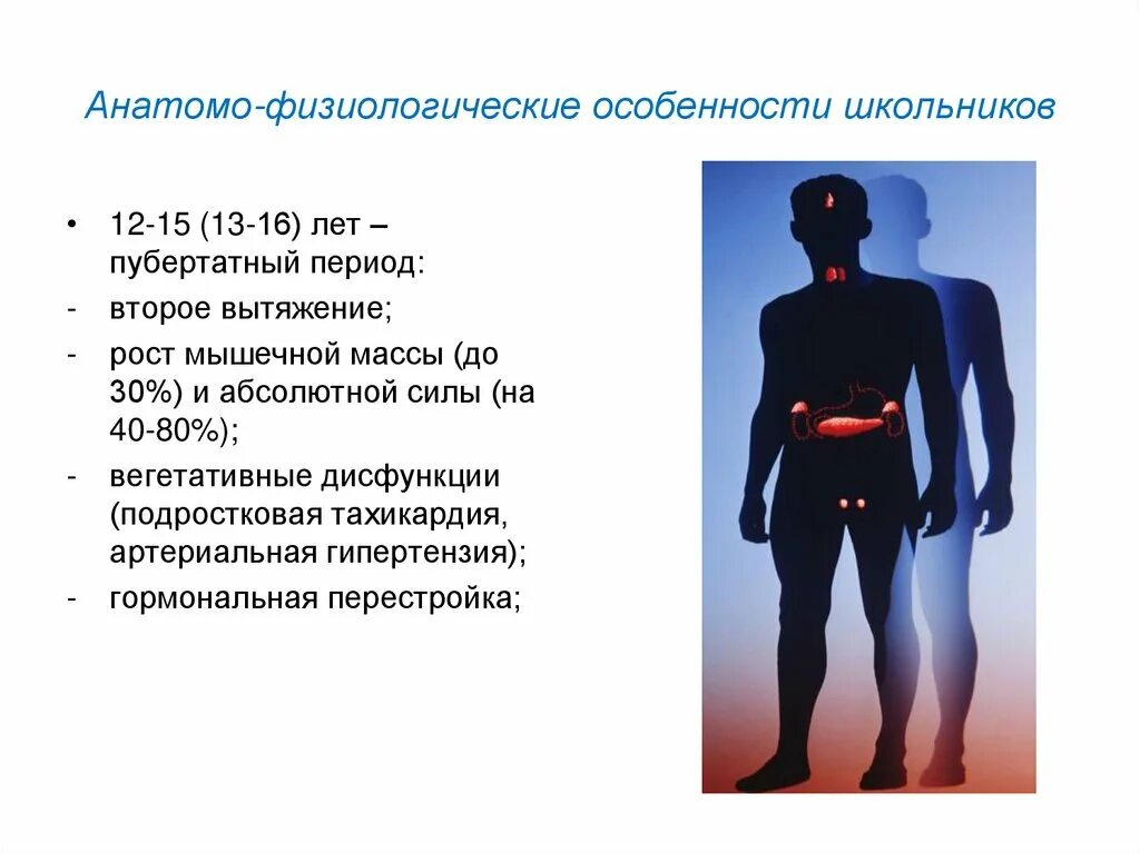 Физиологические особенности. Анатомо-физиологические особенности. Возрастные особенности организма. Анатомо физиологические особенности юношей.