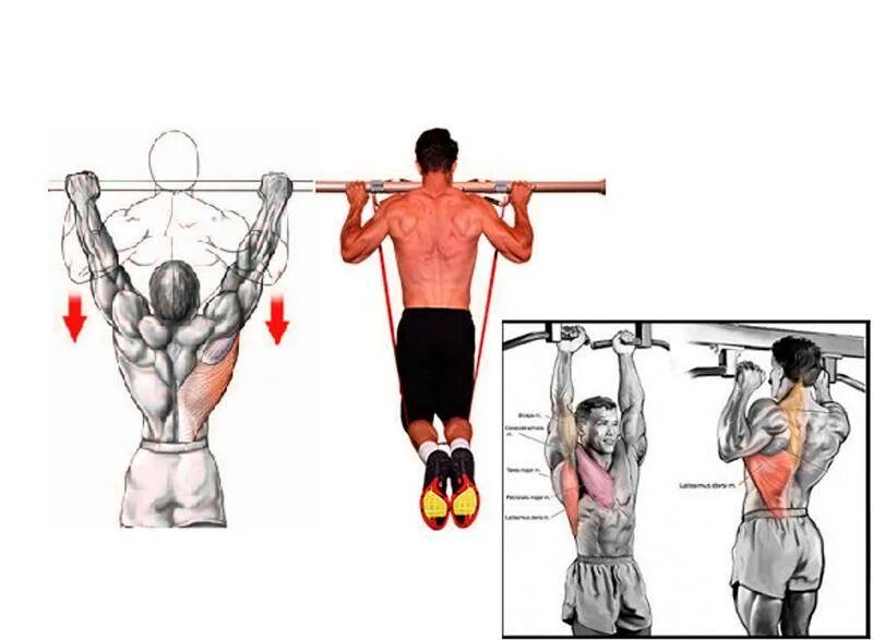 Упражнения подтягивания отжимания. Подтягивания схема мышц. Упражнения для подтягивания. Мышцы при подтягивании. Подтягивания на турнике какие мышцы.