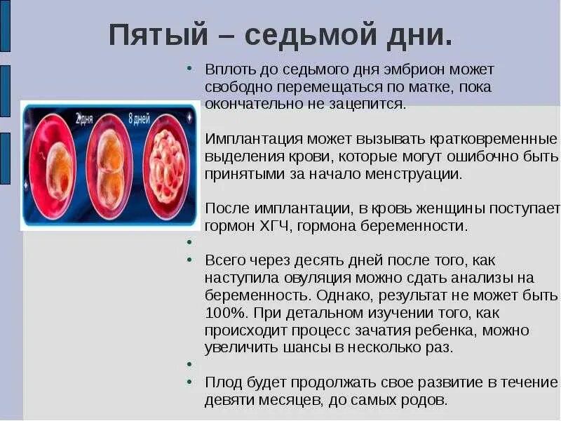 Сколько творится. Имплантация эмбриона по дням. Зачатие и имплантация по дням после овуляции. На какой день происходит имплантация эмбриона. Сроки имплантации после оплодотворения.