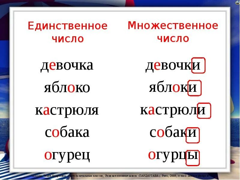 Сравни единственное число. Единственное и множественное число. единственное число и множественное число. существительные единственного и множественного числа. ед число и множественное число.