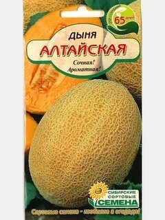 Дыня алтайская описание отзывы
