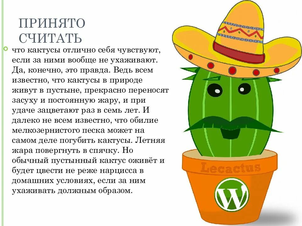 Среднее значение кактуса. Мифы о кактусах. кактус презентация. кактусы презентация для детей. кактус для детей.