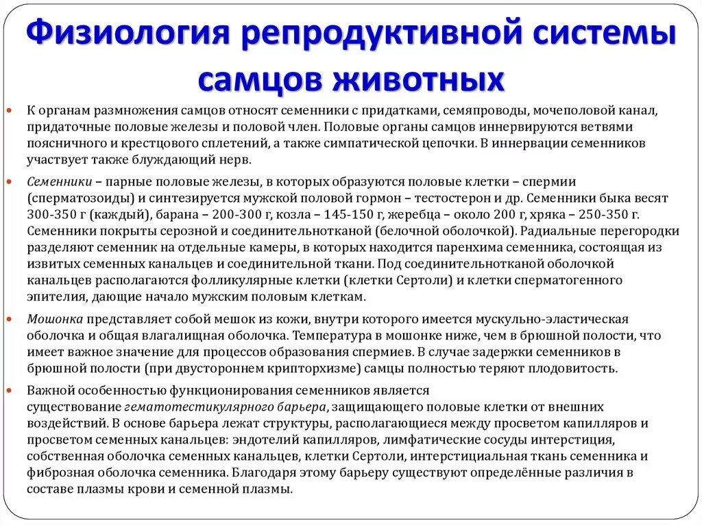 Физиология репродуктивной системы самок. Физиология органов размножения самцов. Физиология репродуктивной системы самцов. Органы репродуктивной системы кратко.