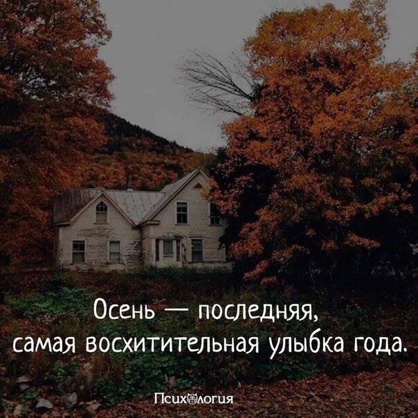 Все зачеркнуть и все начать сначала. Осень последняя самая восхитительная. Осень самая восхитительная улыбка года. Зачеркнуть бы всю жизнь. Осень последняя улыбка года.