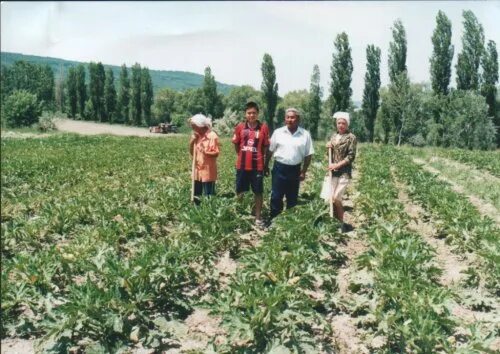 Самохвалово бахчисарайский. Бахчисарай село железнодорожное. Село железнодорожное Бахчисарайского района. Село Самохвалово Бахчисарайский район.