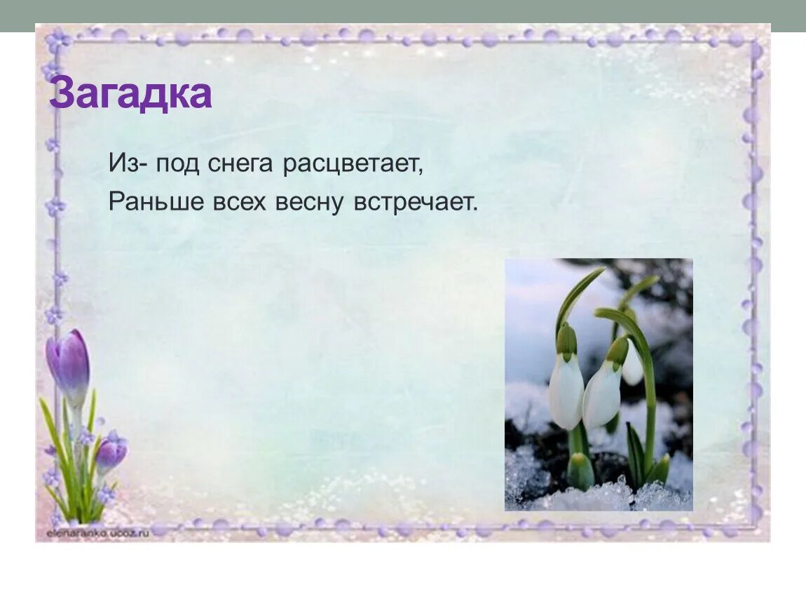 Весенние загадки для детей. Весенние загадки для детей. Загадки для детей 6 7 о весне. Загадки для детей 6 7 о весне. Загадки для детей 6 7 о весне.