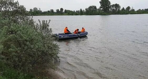 Уровень реки алей рубцовск