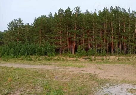 Погода в поварне