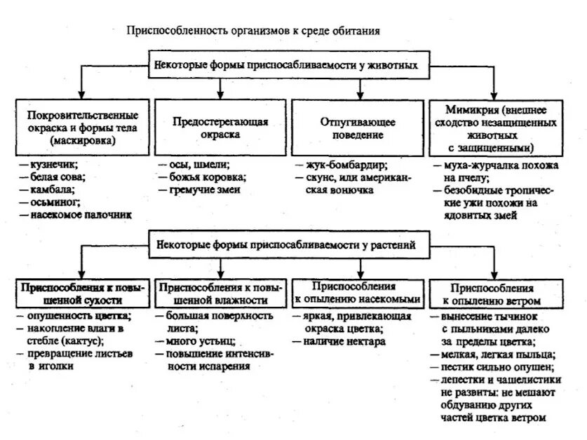 Приспособленность схема. Приспособленность таблица. Таблица приспособленность организмов. Схему классификации приспособленностей организмов..