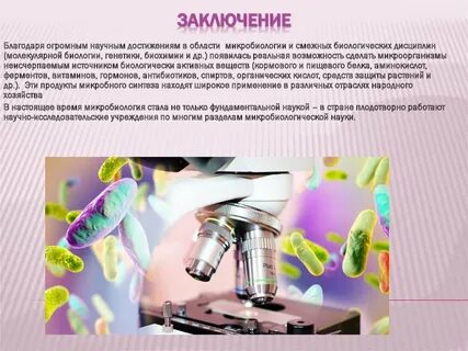 Темы по микробиологии