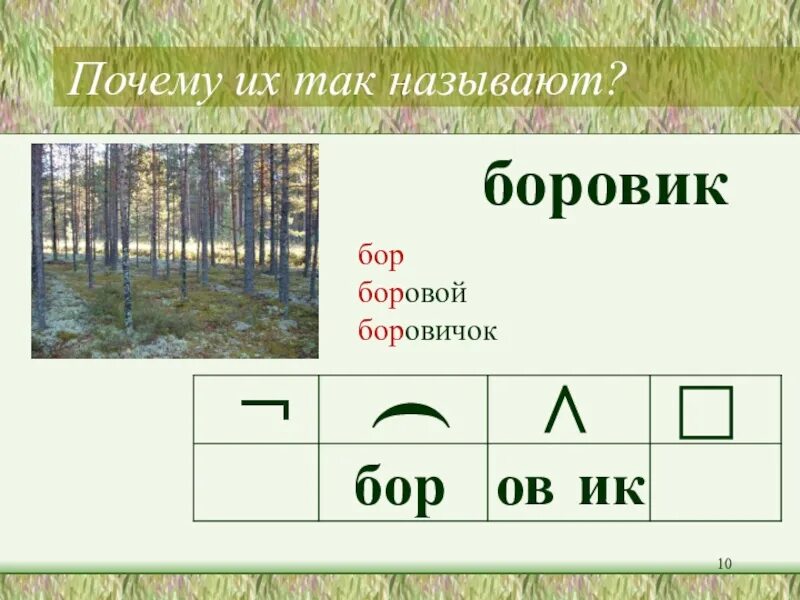 Разбор по составу Боровик. Боровик разбор слова по составу. Почему так назвали Бор. Бор и Боровик однокоренные. Почему бор назвали бор