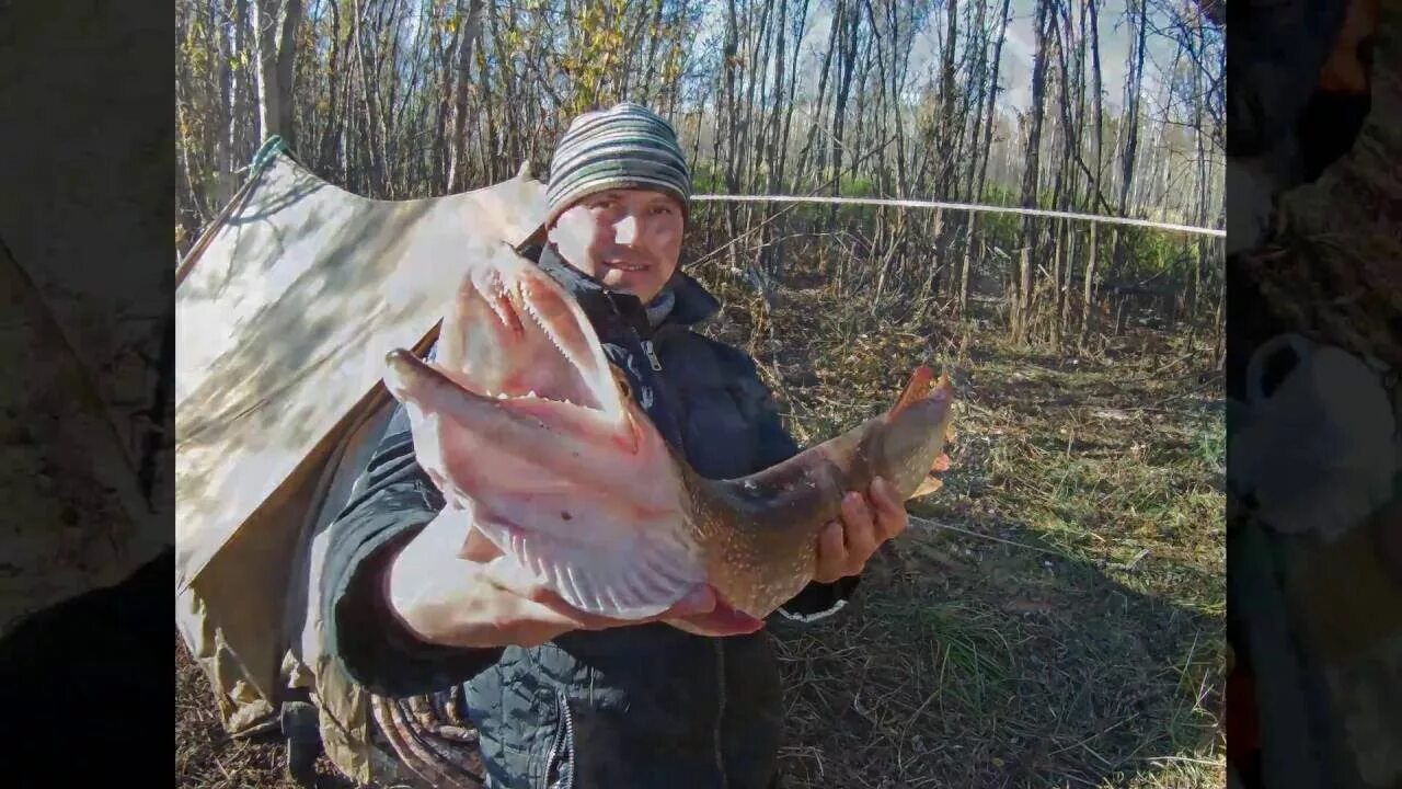 Клев обь. Рыбалка в сургуте. река обь рыбалка. рыбалка сургут щука места. рыбалка на р.обь.