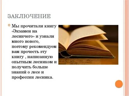 Заключение про книгу