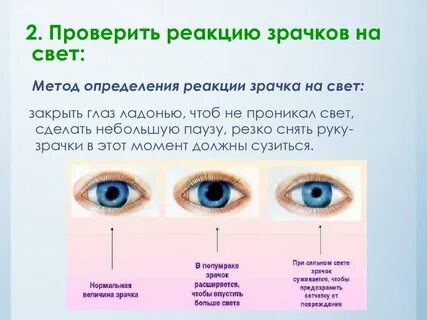 Зрачковые реакции
