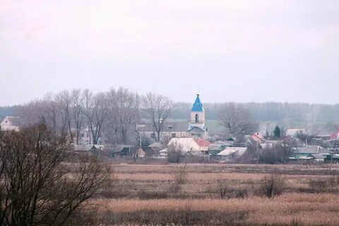 Гисметео дракино воронежская область лискинский