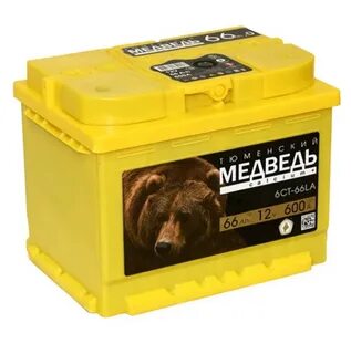 Медведь 66 артемовский