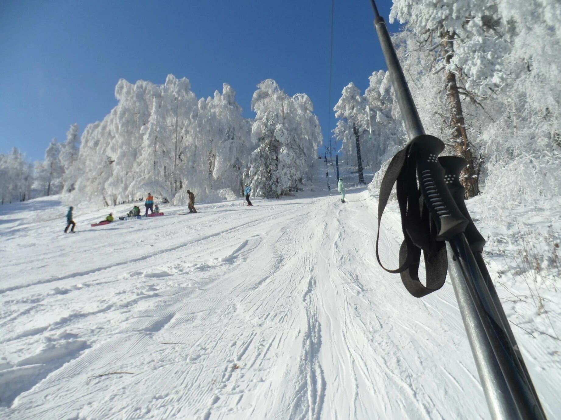 Вишневая горнолыжка