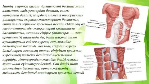 Жатақханадағы топтық секс
